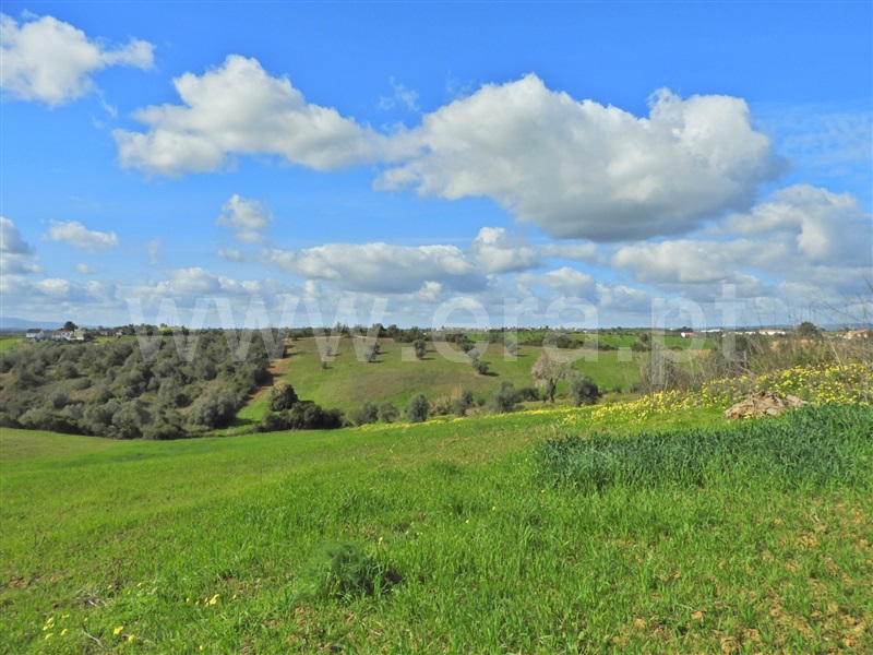 Moradia T3 Santarém, Abitureiras - 1463075 - 10