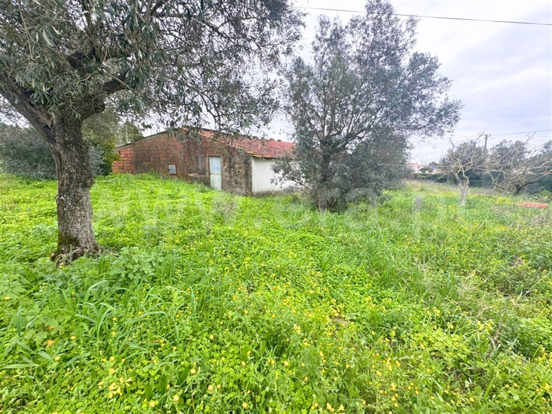 Moradia T3 à venda em Alcanede, Santarém — foto 6