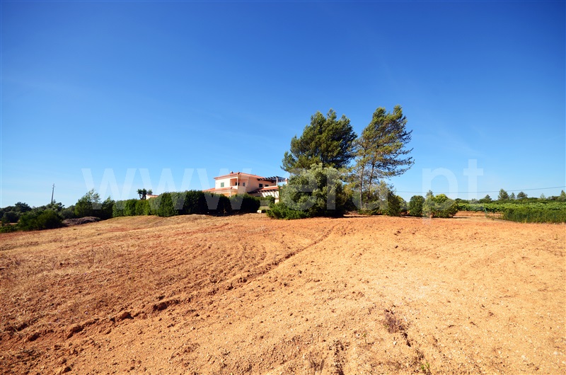 Moradia T3 Santarém, Almoster - 1409906 - 5