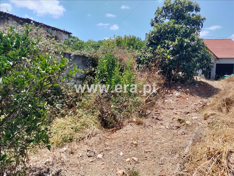 Moradia T3 à venda em Almoster, Santarém — foto 5