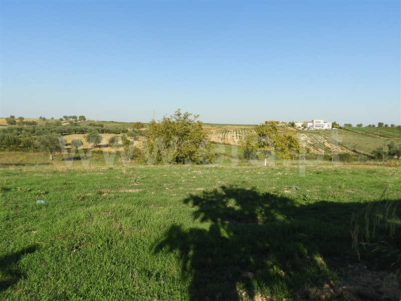 Moradia T3 Santarém, Fonte da Pedra - 1429181 - 13