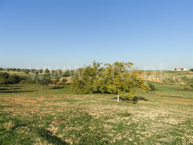 Moradia T3 Santarém, Fonte da Pedra - 1429181 - 15