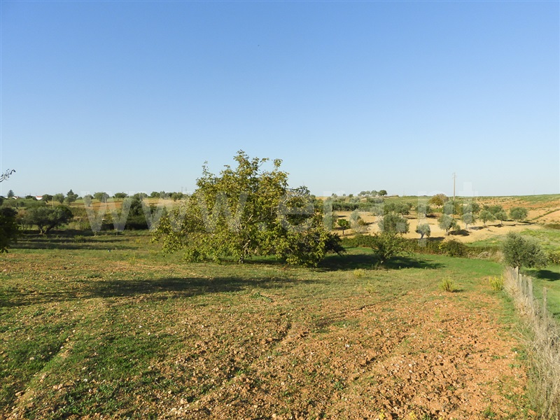Moradia T3 Santarém, Fonte da Pedra - 1429181 - 16