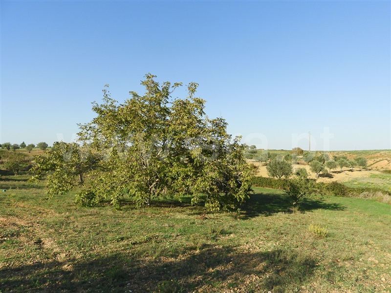 Moradia T3 Santarém, Fonte da Pedra - 1429181 - 17