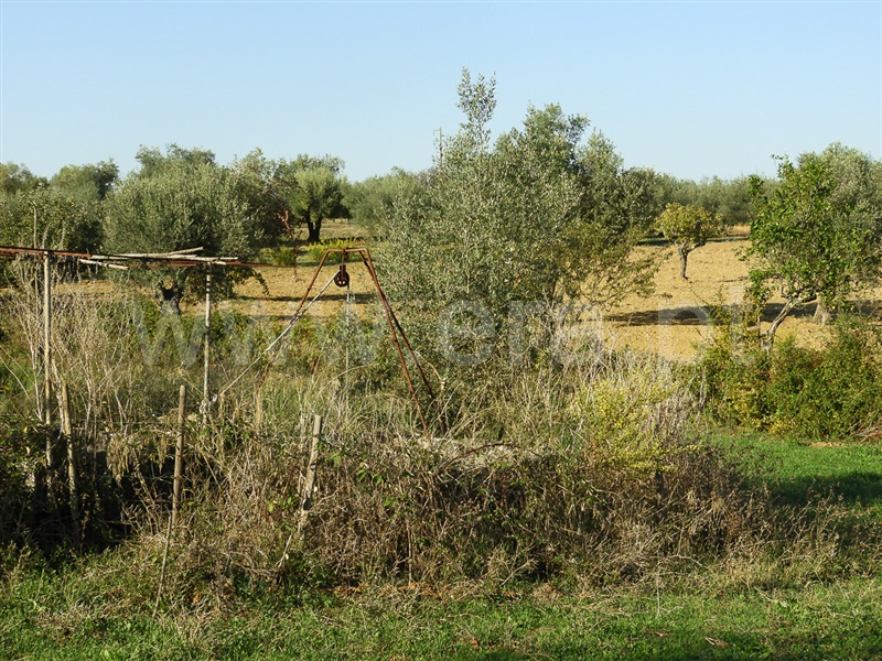 Moradia T3 Santarém, Fonte da Pedra - 1429181 - 18
