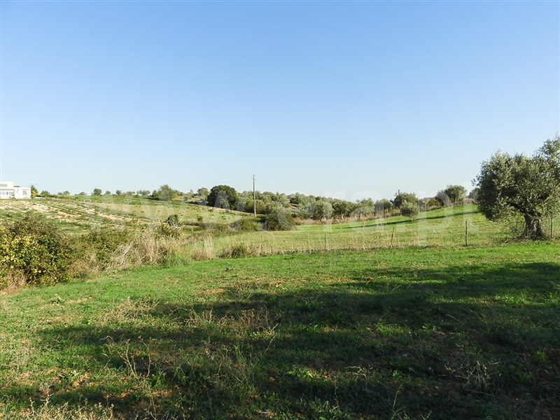 Moradia T3 Santarém, Fonte da Pedra - 1429181 - 20