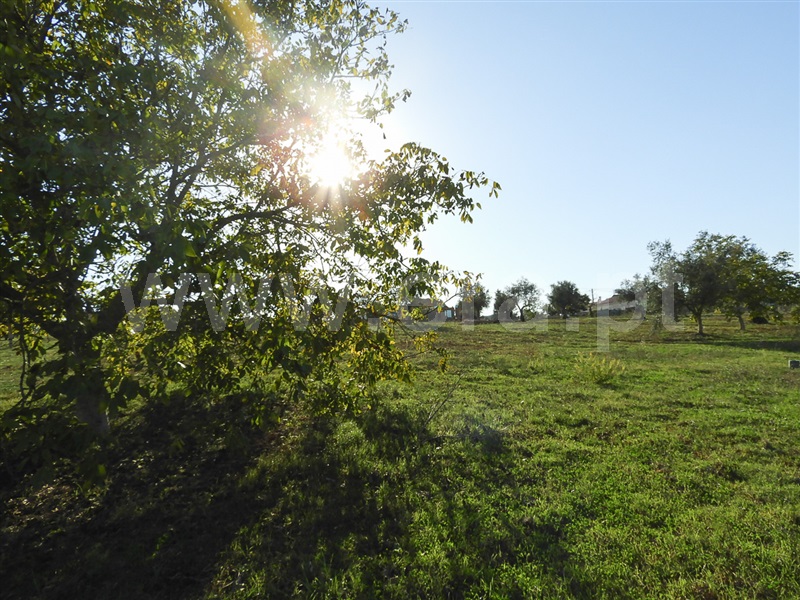 Moradia T3 Santarém, Fonte da Pedra - 1429181 - 21