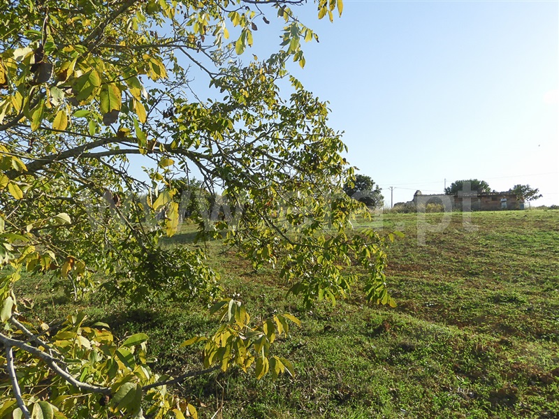 Moradia T3 Santarém, Fonte da Pedra - 1429181 - 22
