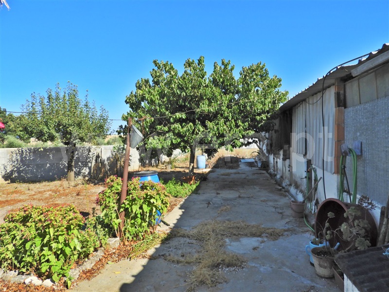 Moradia T3 Santarém, Verdelho - 1423061 - 17