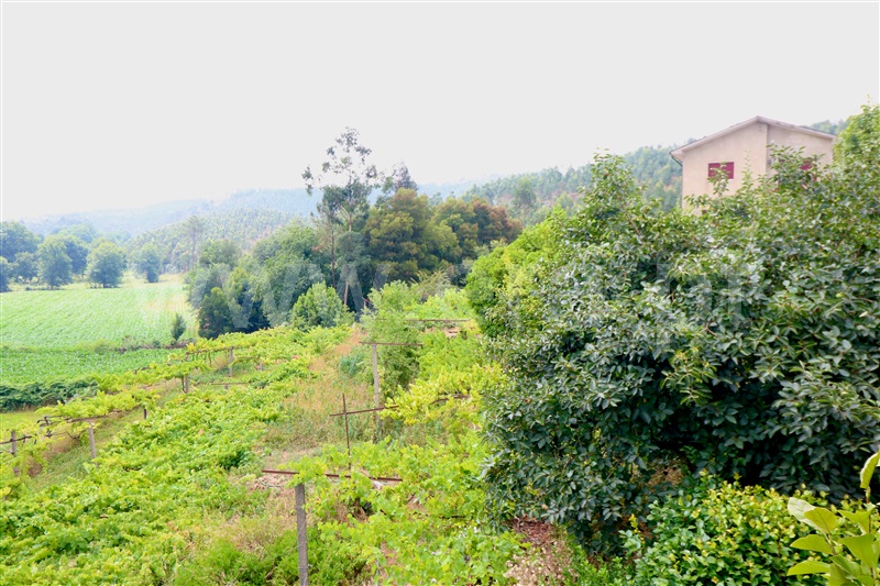 Moradia T3 à venda em Agrela, Santo Tirso — foto 6