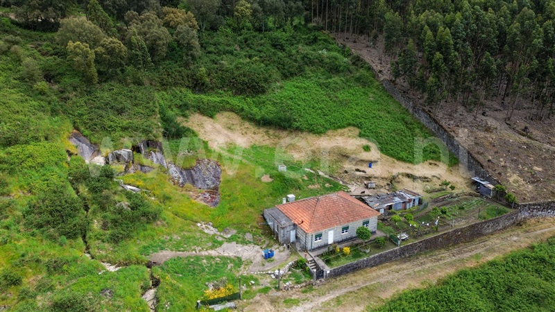 Moradia T3 Santo Tirso, Negrelos (São Tomé) - 1477558 - 2