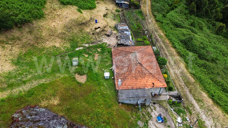 Moradia T3 Santo Tirso, Negrelos (São Tomé) - 1477558 - 3