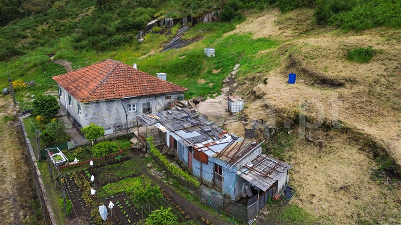 Moradia T3 Santo Tirso, Negrelos (São Tomé) - 1477558 - 5