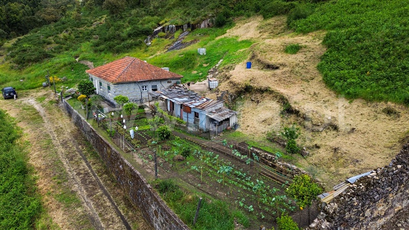 Moradia T3 Santo Tirso, Negrelos (São Tomé) - 1477558 - 6