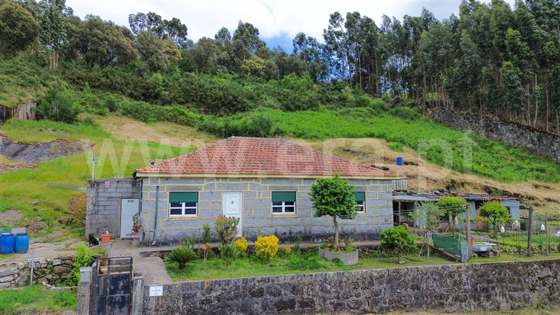 Moradia T3 Santo Tirso, Negrelos (São Tomé) - 1477558 - 7
