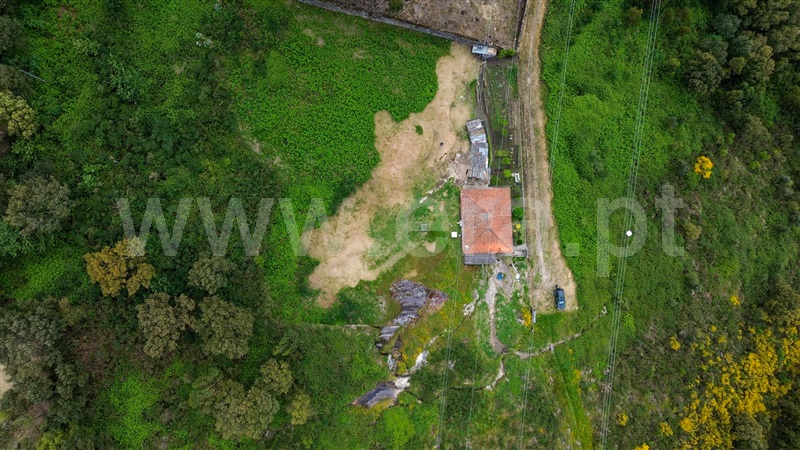 Moradia T3 Santo Tirso, Negrelos (São Tomé) - 1477558 - 9