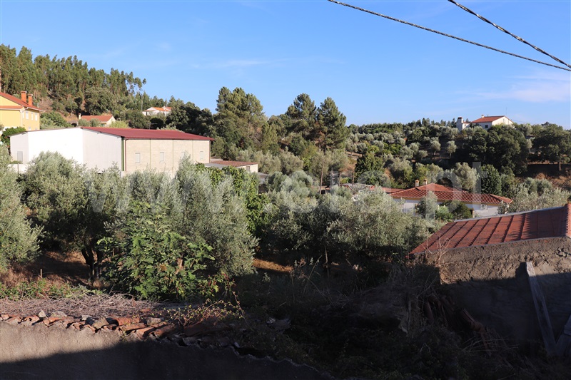 Moradia T3 Sardoal, Andreus - 1349793 - 6
