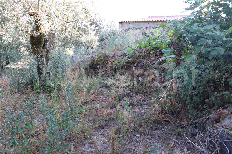 Moradia T3 Sardoal, Andreus - 1349793 - 16