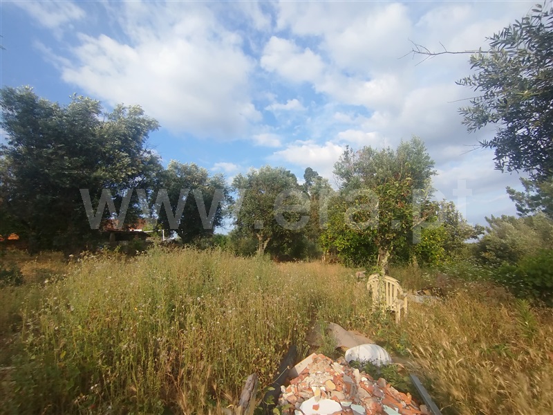 Moradia T3 Sardoal - 1487759 - 6