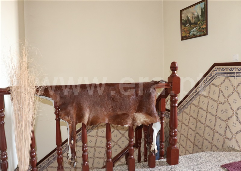Moradia T3 Sardoal, Sardoal - 915650 - 7