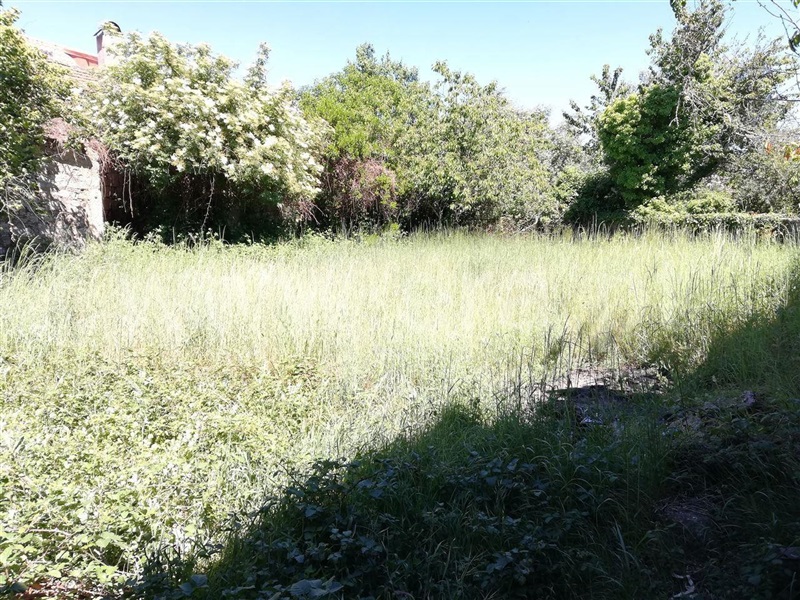 Moradia Geminada T3 Sátão, Romãs, Decermilo e Vila Longa - 1164783 - 4