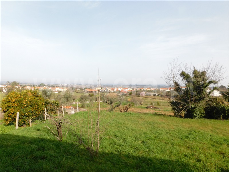 Moradia T3 Seia, Sameice e Santa Eulália - 1308274 - 19
