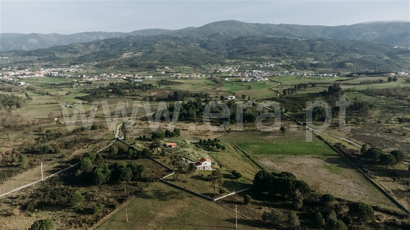 Moradia T3 Seia, Santa Marinha e São Martinho - 1244175 - 4