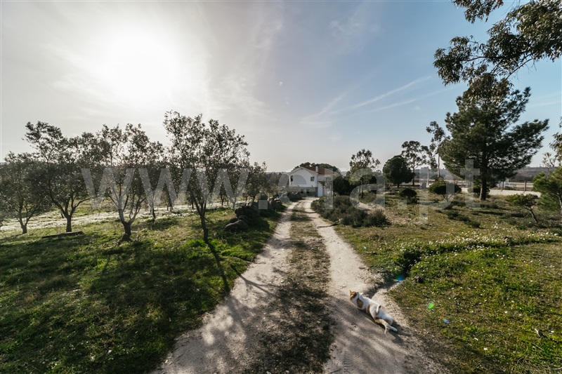 Moradia T3 Seia, Santa Marinha e São Martinho - 1244175 - 9
