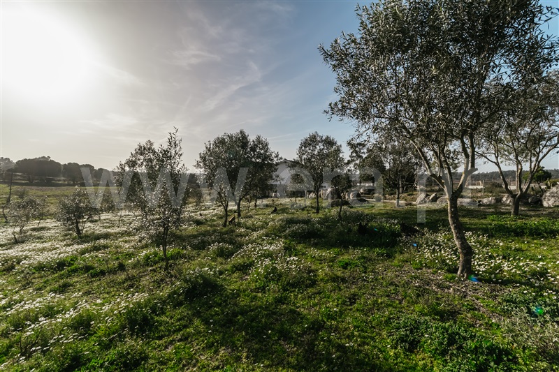 Moradia T3 Seia, Santa Marinha e São Martinho - 1244175 - 32