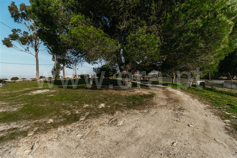 Moradia T3 Seia, Santa Marinha e São Martinho - 1244175 - 36