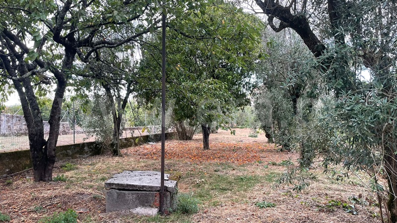 Moradia T3 Seia, Santa Marinha e São Martinho - 1512744 - 14