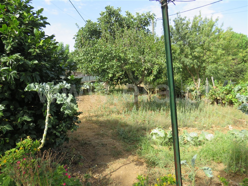 Moradia T3 Seia, Torrozelo - 1372035 - 6