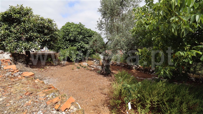 Moradia T3 Soure, Degracias e Pombalinho - 1489889 - 12