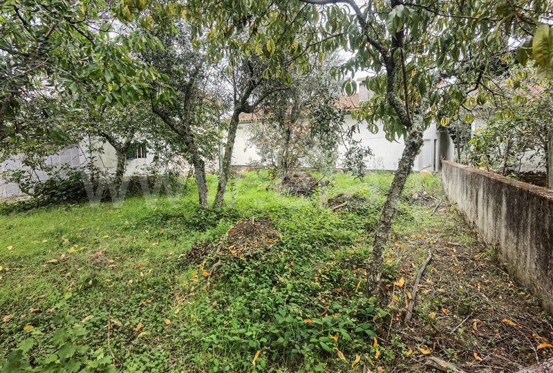 Moradia T3 com Quintal Tábua, Candosa - 1339619 - 13