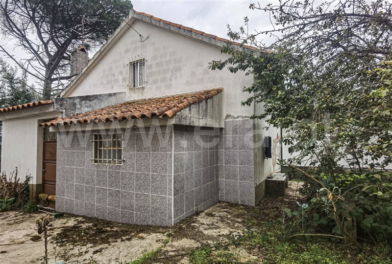 Moradia T3 com Quintal Tábua, Candosa - 1339619 - 14