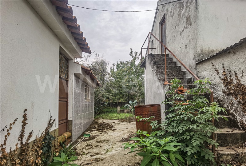 Moradia T3 com Quintal Tábua, Candosa - 1339619 - 16