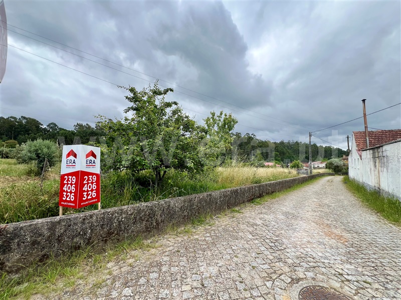 Moradia T3 com Terreno Tábua, Espariz e Sinde - 1407487 - 23