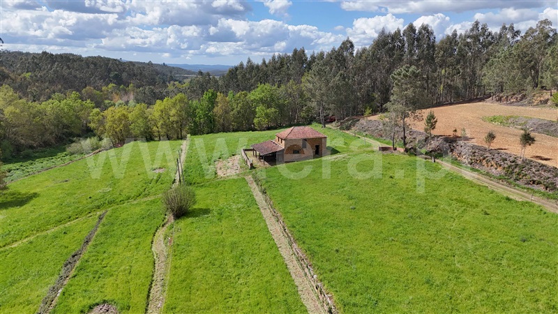 Moradia  Tábua, Espariz e Sinde - 1474538 - 1