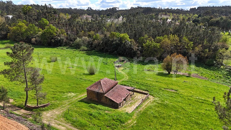 Moradia  Tábua, Espariz e Sinde - 1474538 - 5