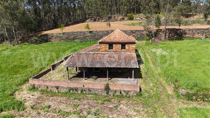 Moradia  Tábua, Espariz e Sinde - 1474538 - 7