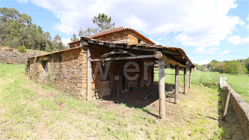 Moradia  Tábua, Espariz e Sinde - 1474538 - 8