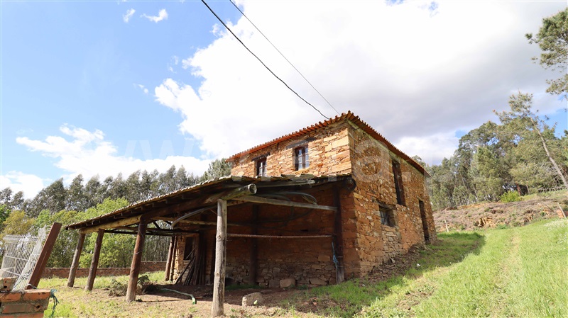 Moradia  Tábua, Espariz e Sinde - 1474538 - 14