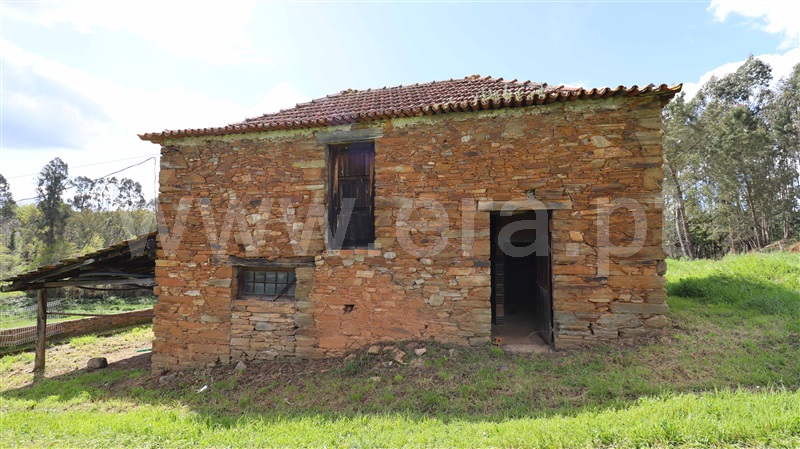 Moradia  Tábua, Espariz e Sinde - 1474538 - 15