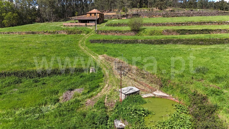 Moradia  Tábua, Espariz e Sinde - 1474538 - 18
