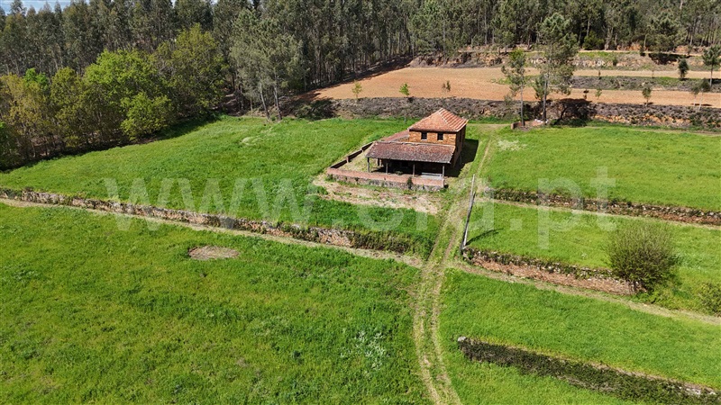 Moradia  Tábua, Espariz e Sinde - 1474538 - 20