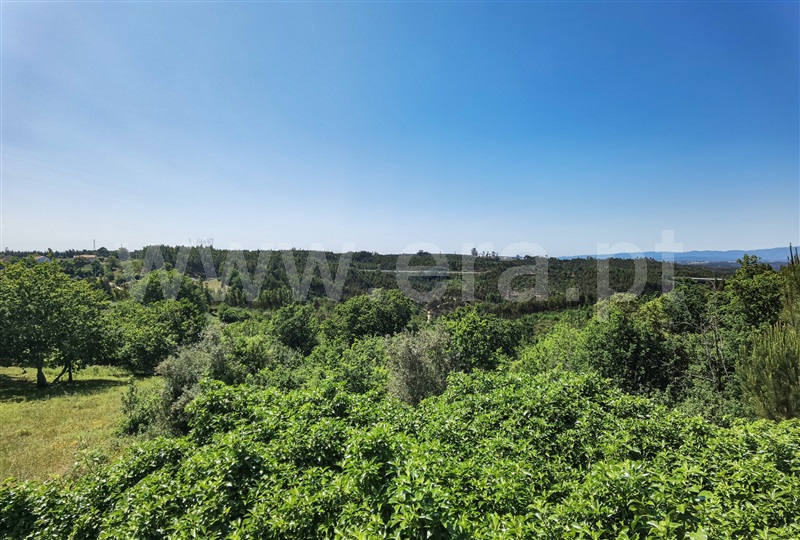 Moradia T3 Tábua, Gualdim - 1318830 - 6