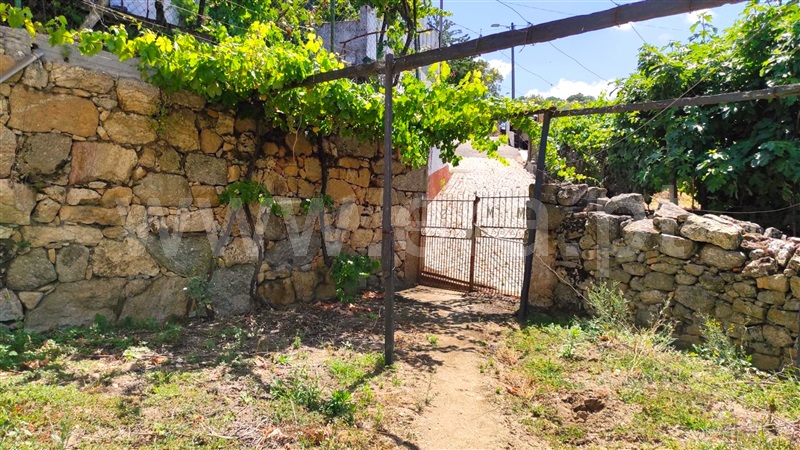 Moradia T3 Tarouca, Gouviães e Ucanha - 1185509 - 33