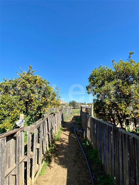 Moradia T3 Tavira, Luz de Tavira e Santo Estêvão - 1489333 - 12