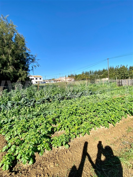 Moradia T3 Tavira, Luz de Tavira e Santo Estêvão - 1489333 - 17
