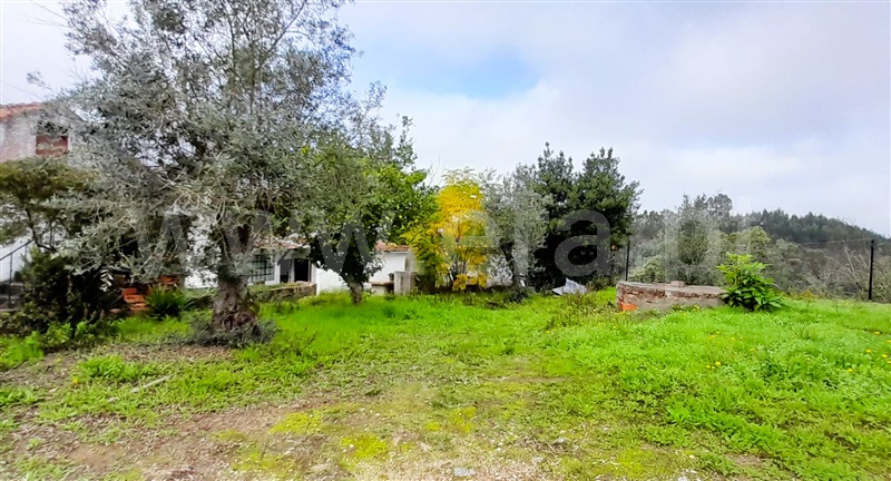 Moradia T3 Tomar, Asseiceira - 1364680 - 12